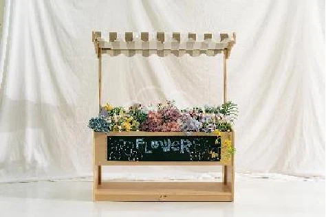 JOOYES New Design Grocery Store